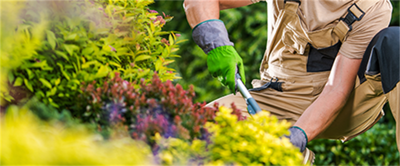 Lawn/Garden Care Image
